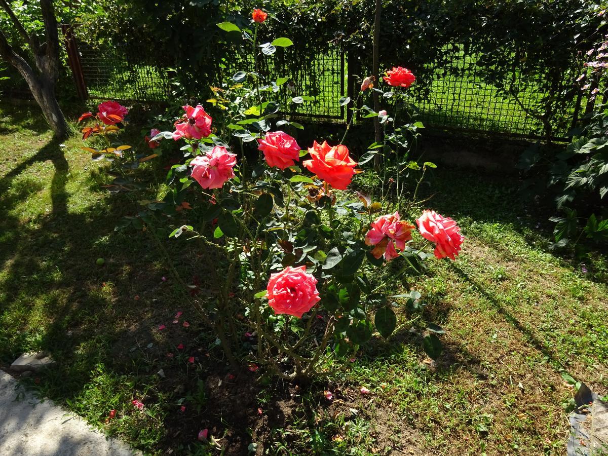 Apartment Una Laguna Bihać 외부 사진
